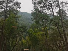 -楠溪江石桅岩