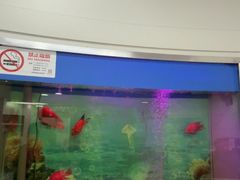 -雅悦齿科(顾村公园店)