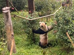 -云南野生动物园