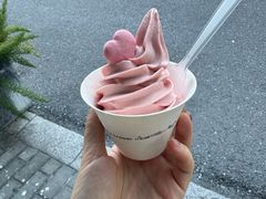 -id冰淇淋甜品店(全国总店)