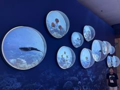 -上海中国航海博物馆