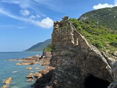 -杨梅坑