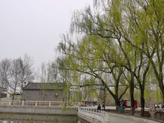 -莲花池公园