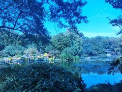 -杭州植物园