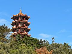 -深圳仙湖植物园