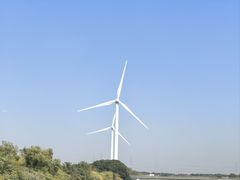 -小陆莲花蟹园农家乐(莲花岛店)