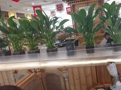 -大清花饺子(山庄店)
