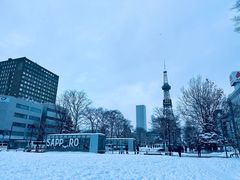 -札幌电视塔