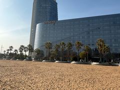 -金沙湖公园