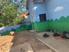 -石家庄市动物园