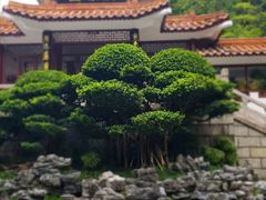 -深圳仙湖植物园-停车场