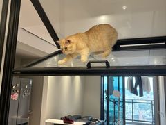-博特宠物医院24h犬猫全科.骨科·异宠