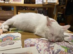 -新月集庭院咖啡馆(老邮局店)