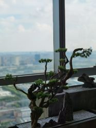 -松和日式美容整骨