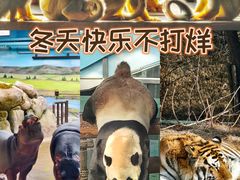 -大连森林动物园