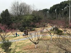 -黄陂区野村谷景区