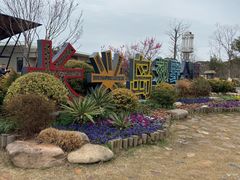 -上海长兴岛郊野公园