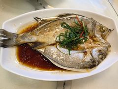 -日日香卤鹅饭店·澄海狮头鹅(澄海店)