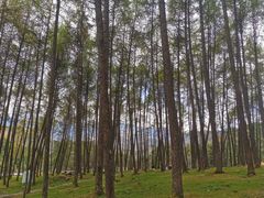 -硗碛藏寨·神木垒景区