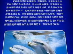 -福州罗源湾海洋世界旅游区