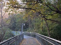 -佛山华盖山公园