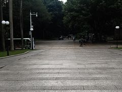 -荔枝公园-小平画像广场