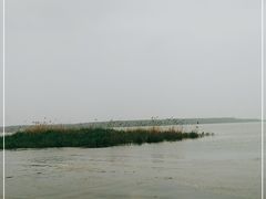 -滕州微山湖红荷湿地景区