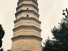 -延安杨家岭革命旧址