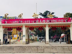 -昆明动物园