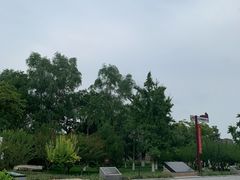 -云岗森林公园