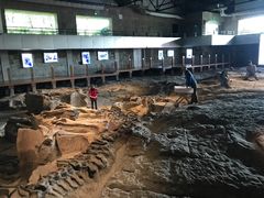 -自贡恐龙博物馆