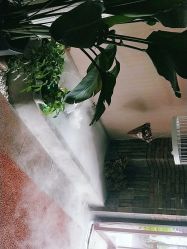 -威思丽高温瑜伽会馆