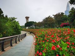 -深圳湾公园(南山区)