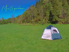 -武陵山森林公园