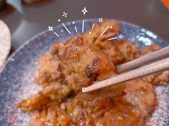 -大阪烧肉BAKA一代(十亩地店)