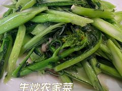 -西江河鲜·趣苑酒楼(鼎湖店)