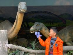 -宝燕乐园(闵行旗舰店)