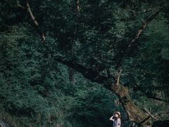 -白云源风景区