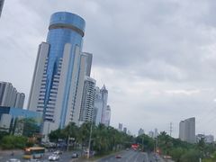 -万绿园