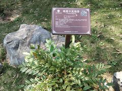 -广西壮族自治区药用植物园