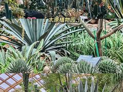 -平遥古城