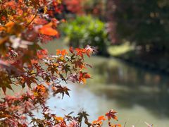 -花开海上生态园