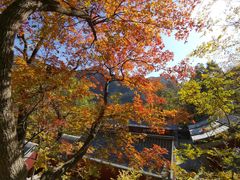 -北京上方山国家森林公园