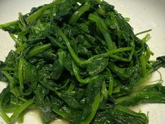 清炒豌豆尖-小大董·烤鸭(五棵松店)