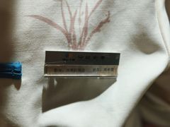 -豫满楼(郑东新区店)