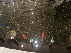 -碧中海汤泉汗蒸酒店