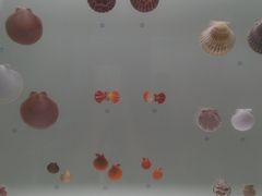 -青岛贝壳博物馆