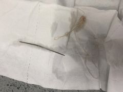 -萌兽医馆·绝育·24小时内科·宠物医院(德胜店)