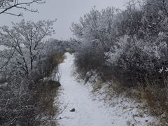 -阳台山自然风景区