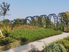 -上海植物园-4号门售票处